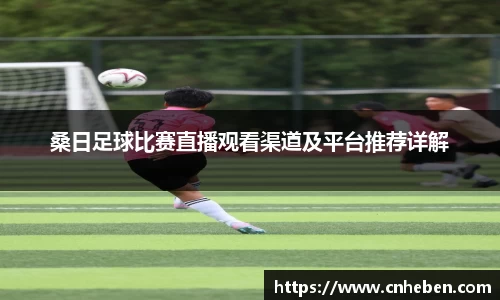  辉达娱乐官网
